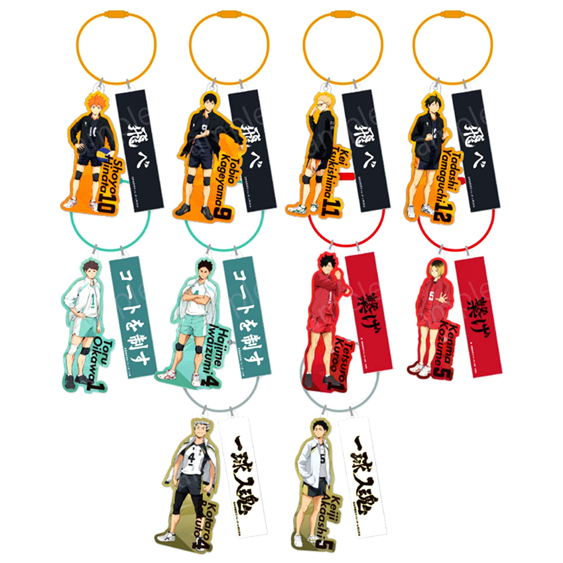 Set of 10 Haikyu!! Random Wire Keychain [USED]
