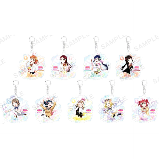 Set of 9 Love Live! School Idol Festival Trading Acrylic Keychain Aqours Theme Park Ver. [USED]