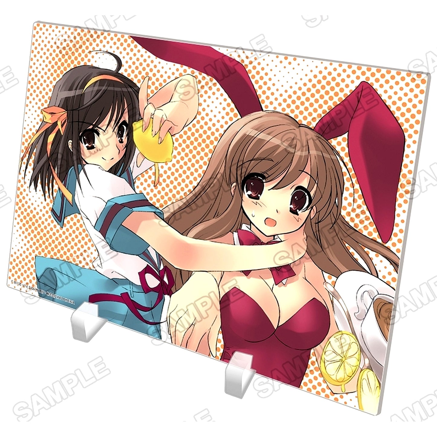 Haruhi and Mikuru A5 Acrylic Panel Haruhi Suzumiya Series [USED]