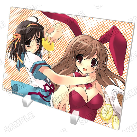 Haruhi and Mikuru A5 Acrylic Panel Haruhi Suzumiya Series [USED]