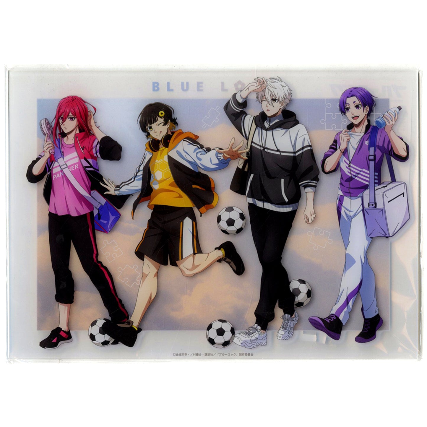 Group B. Blue Lock Nostalgia A4 Acrylic Panel [USED]