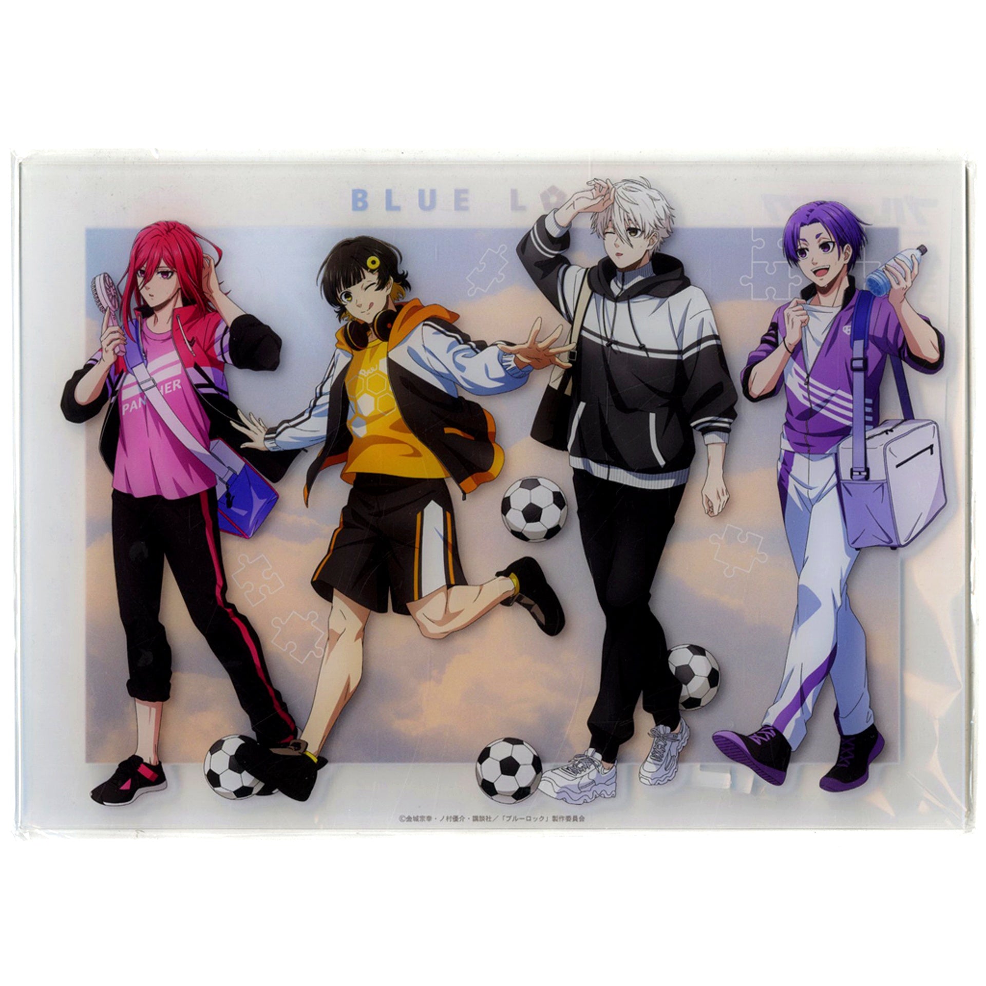 Group B. Blue Lock Nostalgia A4 Acrylic Panel [USED]