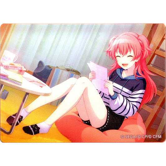 Airi Momoi Delivered Many Feelings/Before Training Noble Art Collection Vol.53 Project Sekai Colorful Stage! feat. Hatsune Miku [USED]