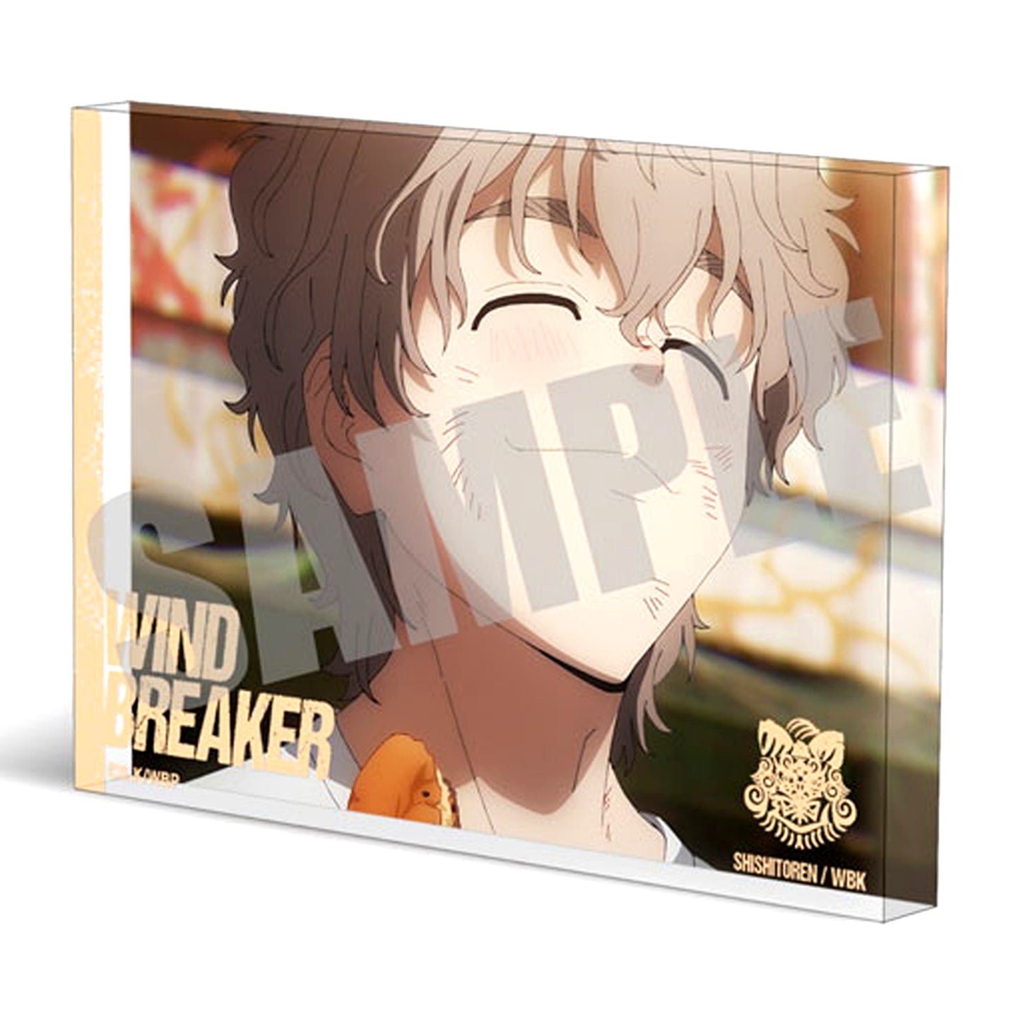 Choji Tomiyama Acrylic Block Scene Shot Ver. WIND BREAKER [USED]