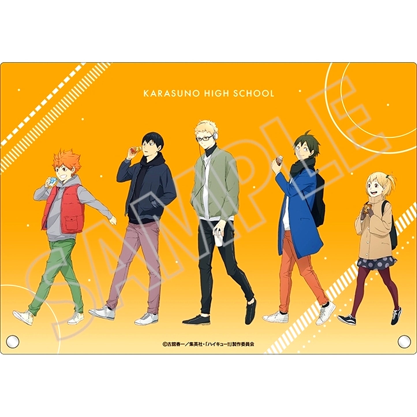 All Characters Haikyu!! Acrylic Art Panel [USED]