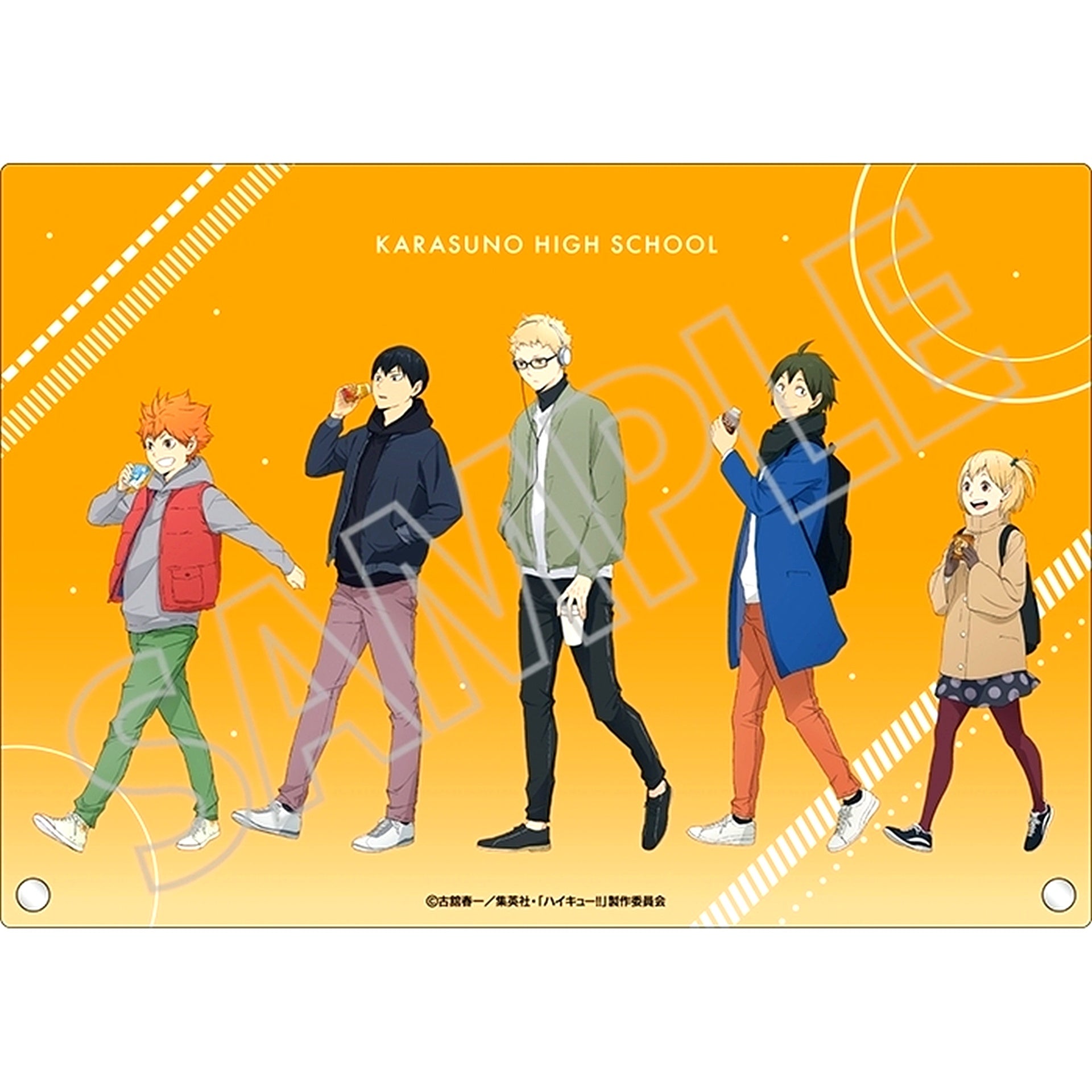 All Characters Haikyu!! Acrylic Art Panel [USED]