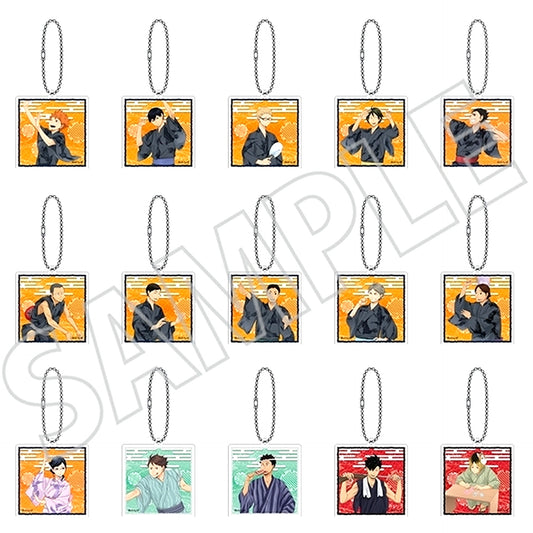 Set of 15 Haikyu!! Acrylic Keychain Collection [USED]