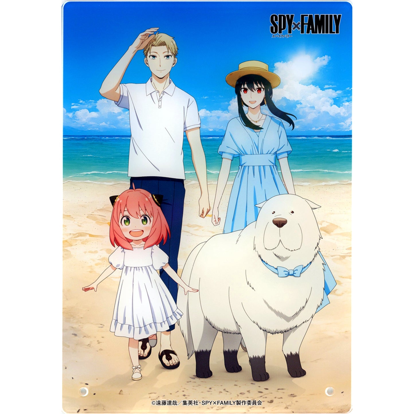 Group Spy x Family Acrylic Panel Seven Net Limited [USED]