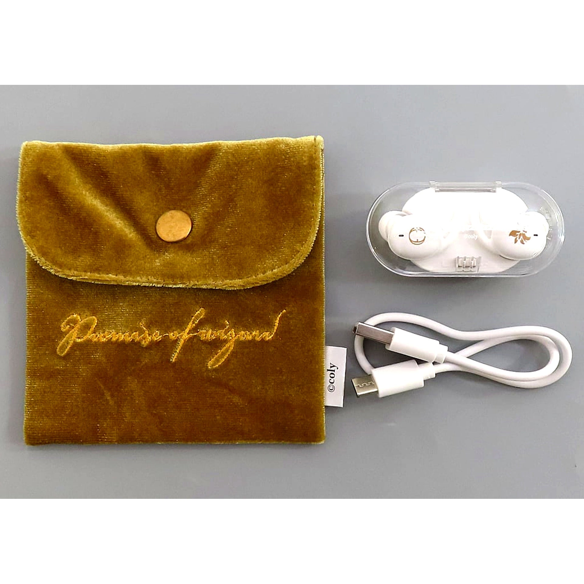 Oz Promise of Wizard Central Country Wireless Earphones CP-TWS01D x ONKYO [USED]