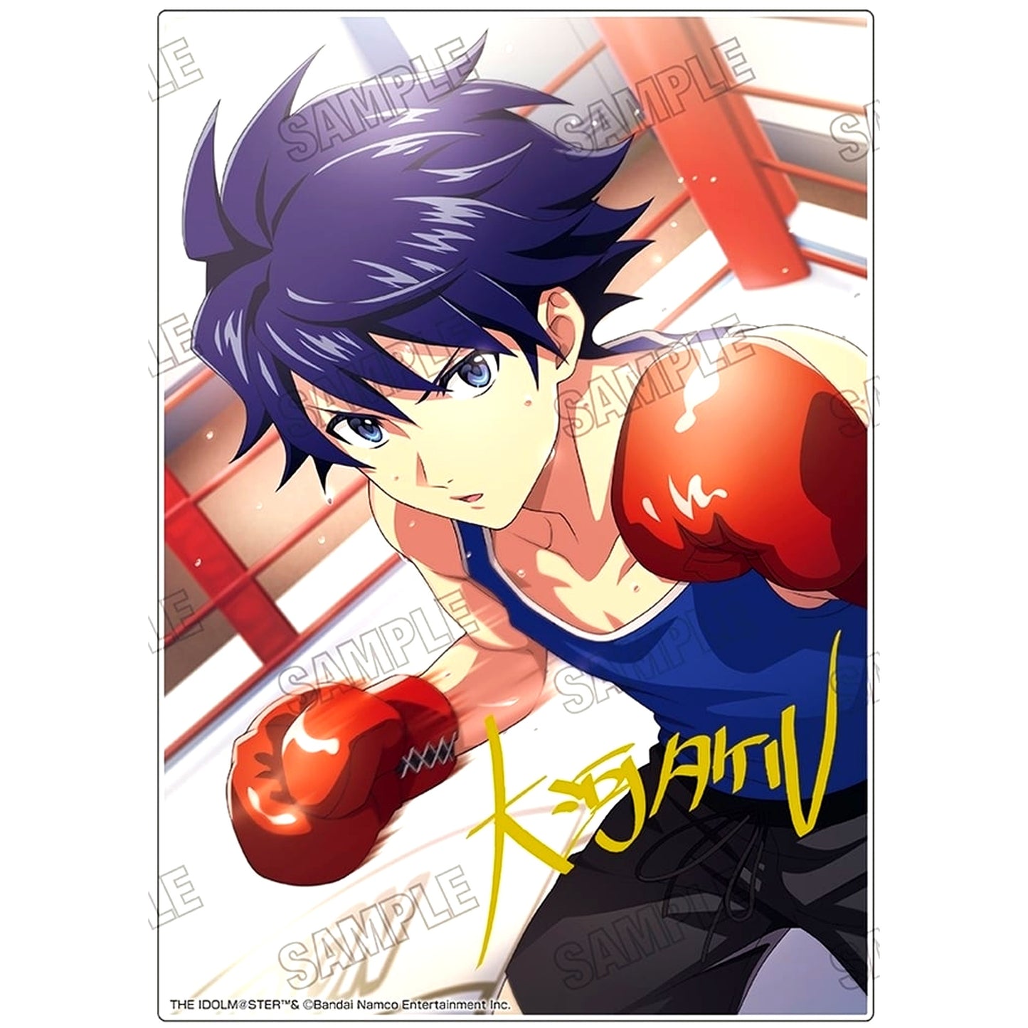3 Takeru Taiga PICTURE COLLECTION Ver. Acrylic Panel THE IDOLM@STER SideM [USED]