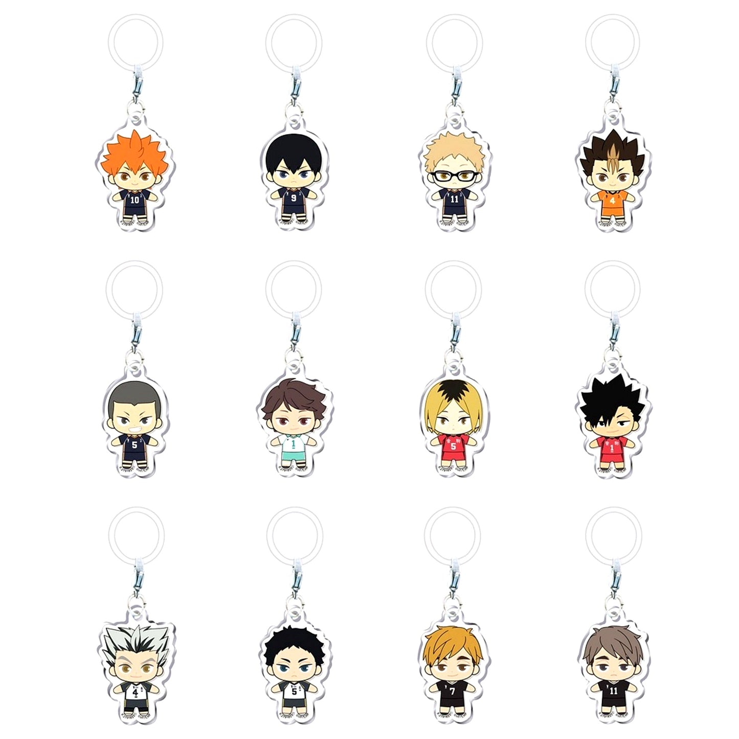 Set of 12 Haikyu!! Flat Mejirushi Accessory [USED]
