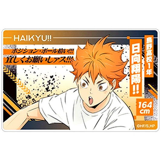 Shoyo Hinata Haikyu!! Famous Quote Acrylic Block Collection [USED]