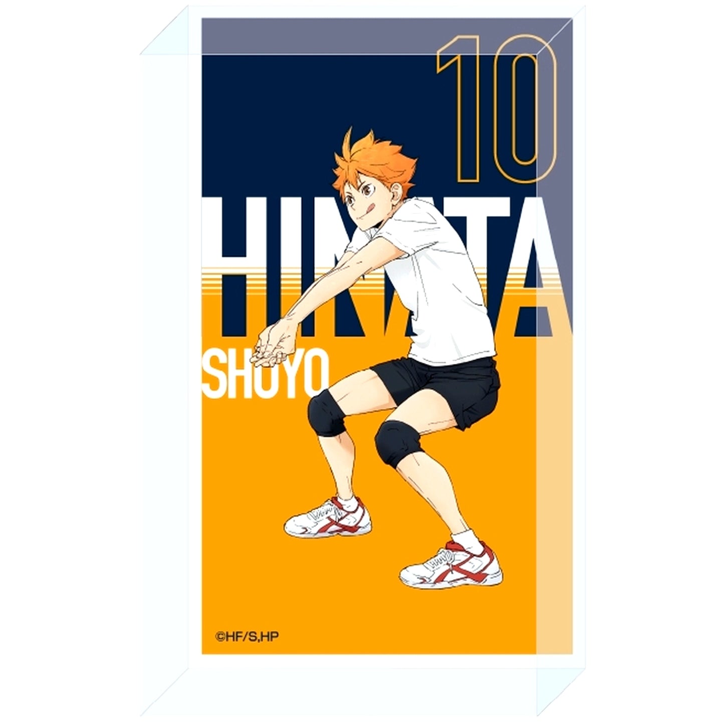 Shoyo Hinata Haikyu!! Receive Acrylic Block [USED]