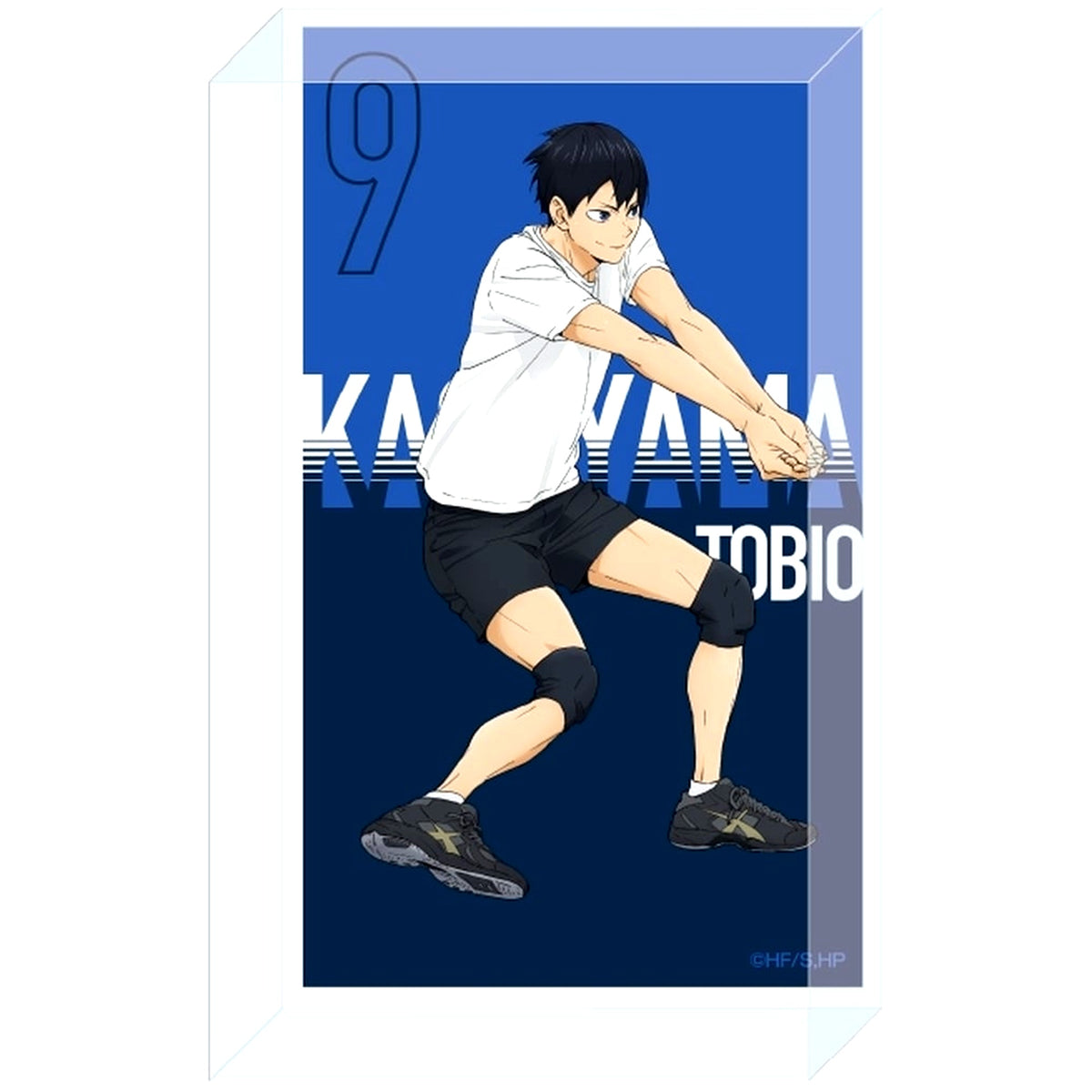 Tobio Kageyama Haikyu!! Receive Acrylic Block [USED]