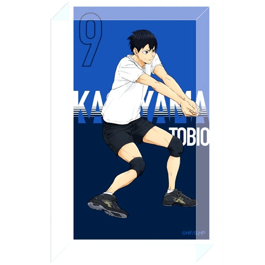 Tobio Kageyama Haikyu!! Receive Acrylic Block [USED]