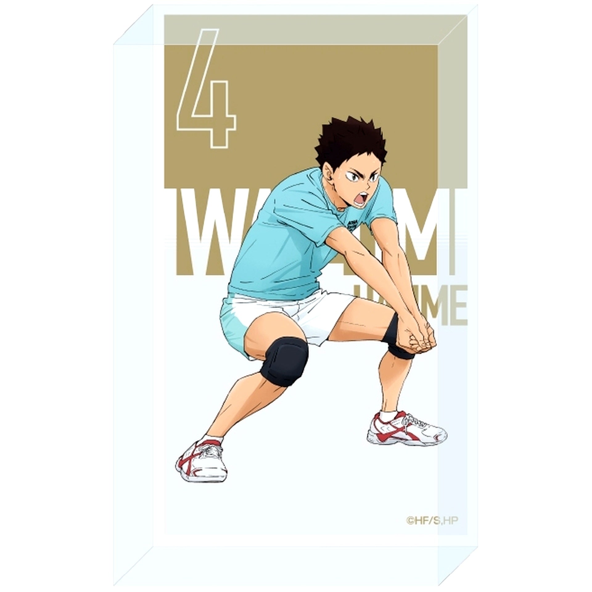 Hajime Iwaizumi Haikyu!! Receive Acrylic Block [USED]