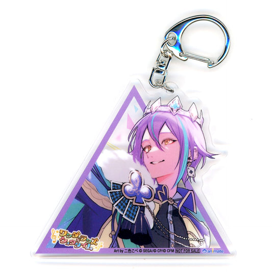 Hatsune Miku: Colorful Stage! Rui Kamishiro Looking Up Acrylic Keychain animate Limited Bonus for Purchasing the Limited Edition of Wonderlands x Showtime SEKAI ALBUM Vol.3 CD Keychains [USED]