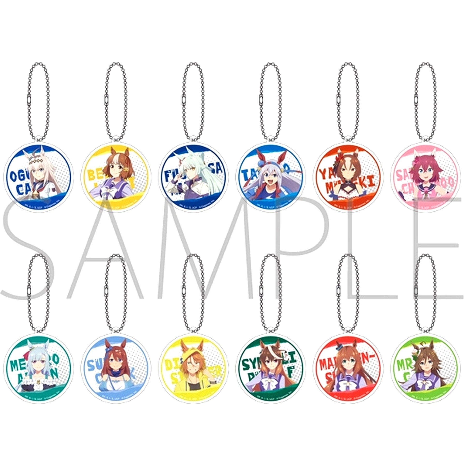 Set of 12 Umamusume Cinderella Gray Aurora Acrylic Keychain Collection [USED]
