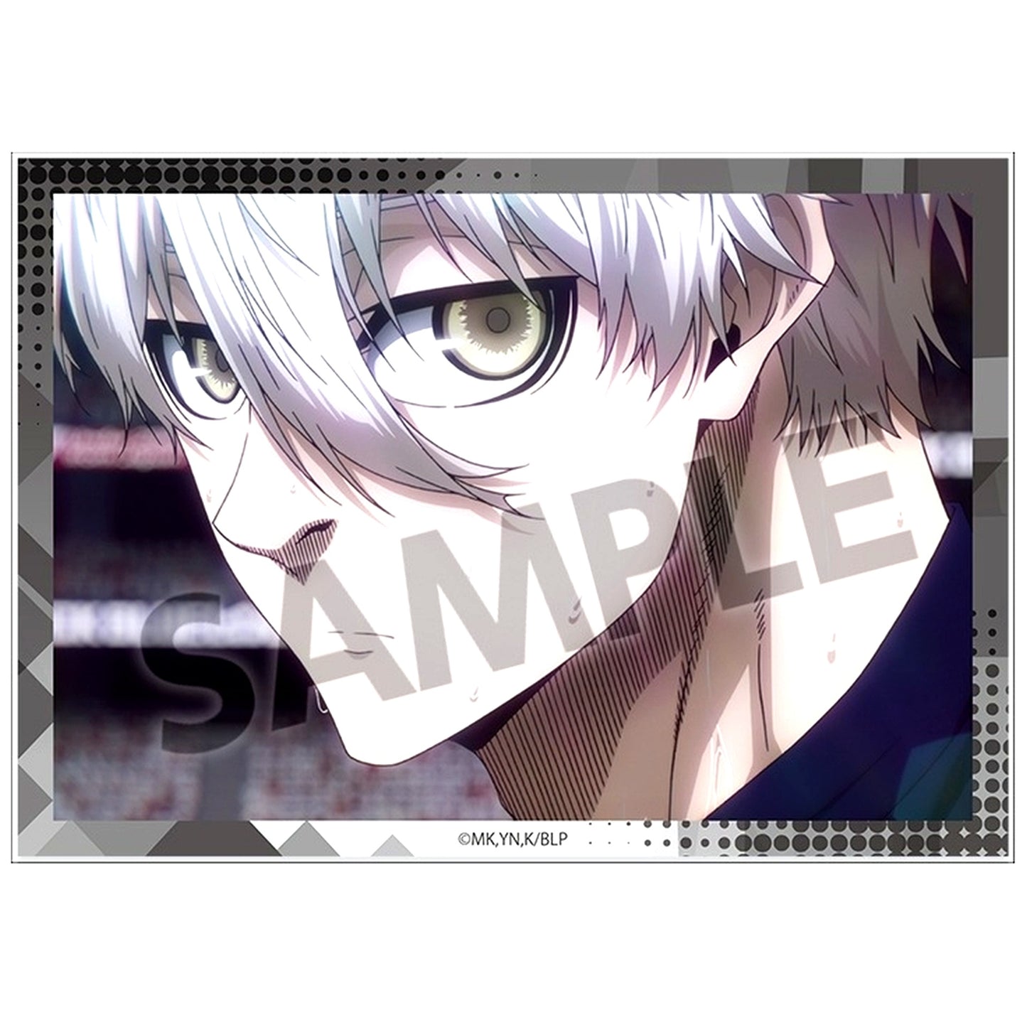 Seishiro Nagi A6 Visual Acrylic Plate Vol. 3 Blue Lock [USED]