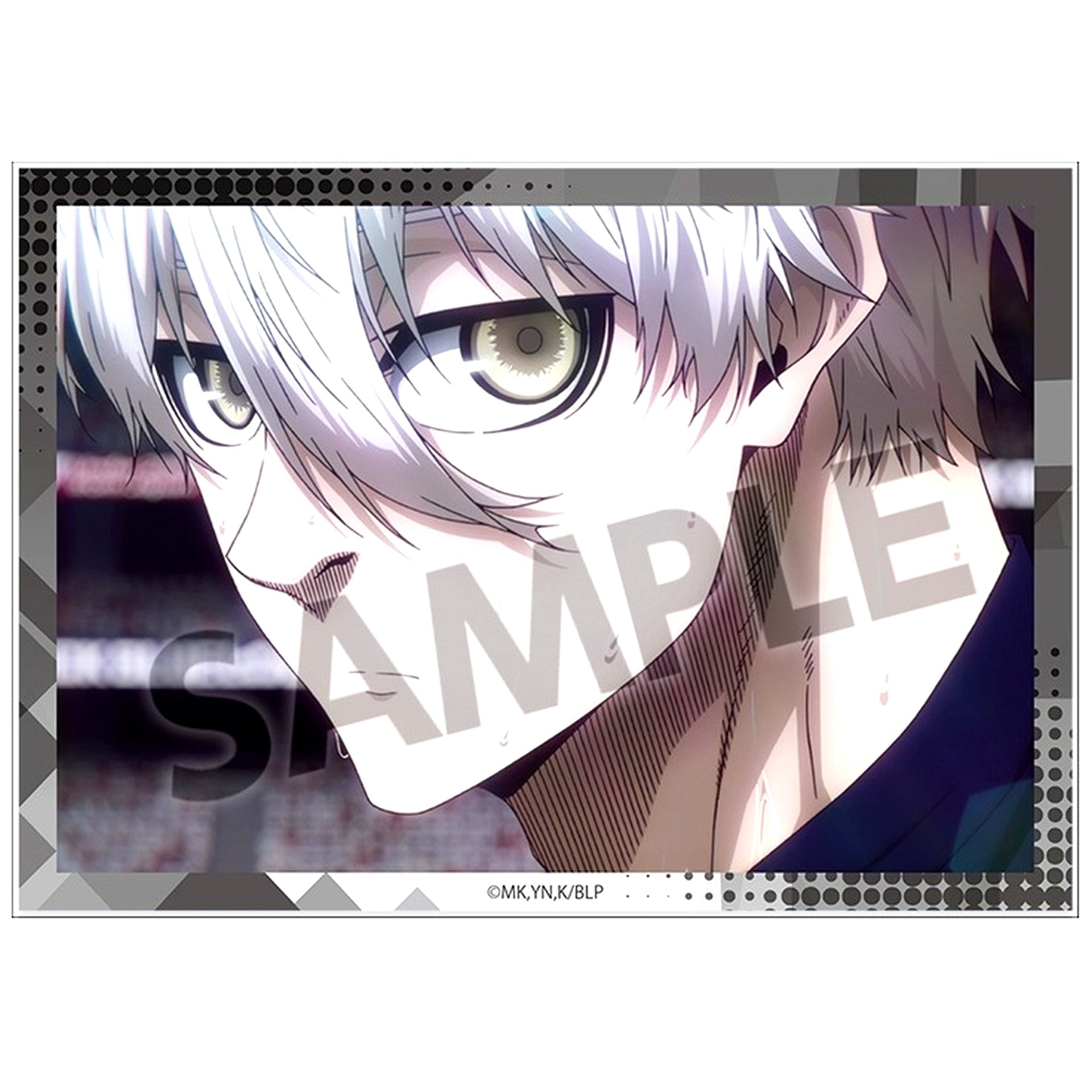 Seishiro Nagi A6 Visual Acrylic Plate Vol. 3 Blue Lock [USED]