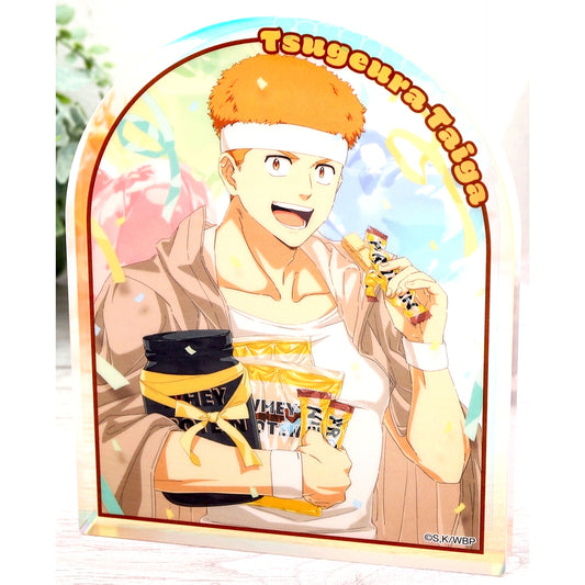 Taiga Tsugeura Wind Breaker Noble Art [USED]