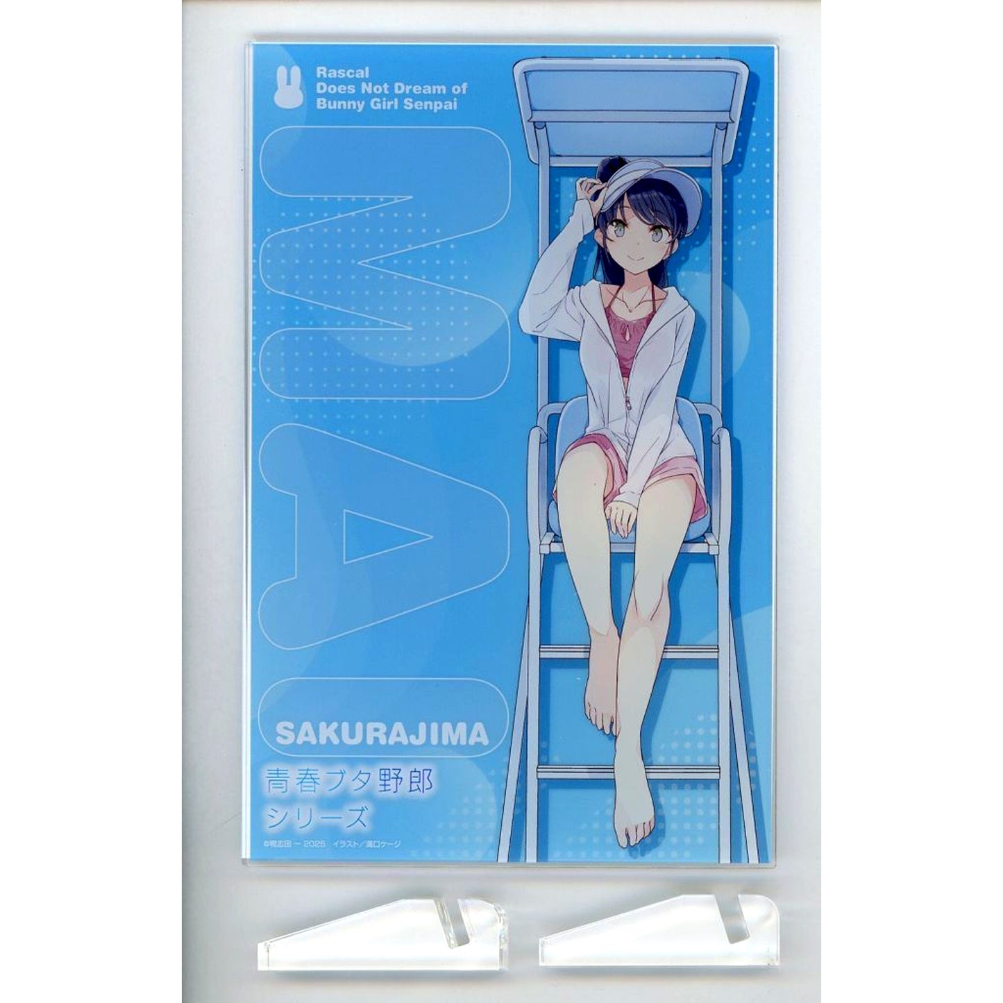 Keiji Mizoguchi Illustration Acrylic Plate Bundle Bonus for Light Novel Rascal Does Not Dream of a Beach Queen+ Specialty Store Limited Set [USED]