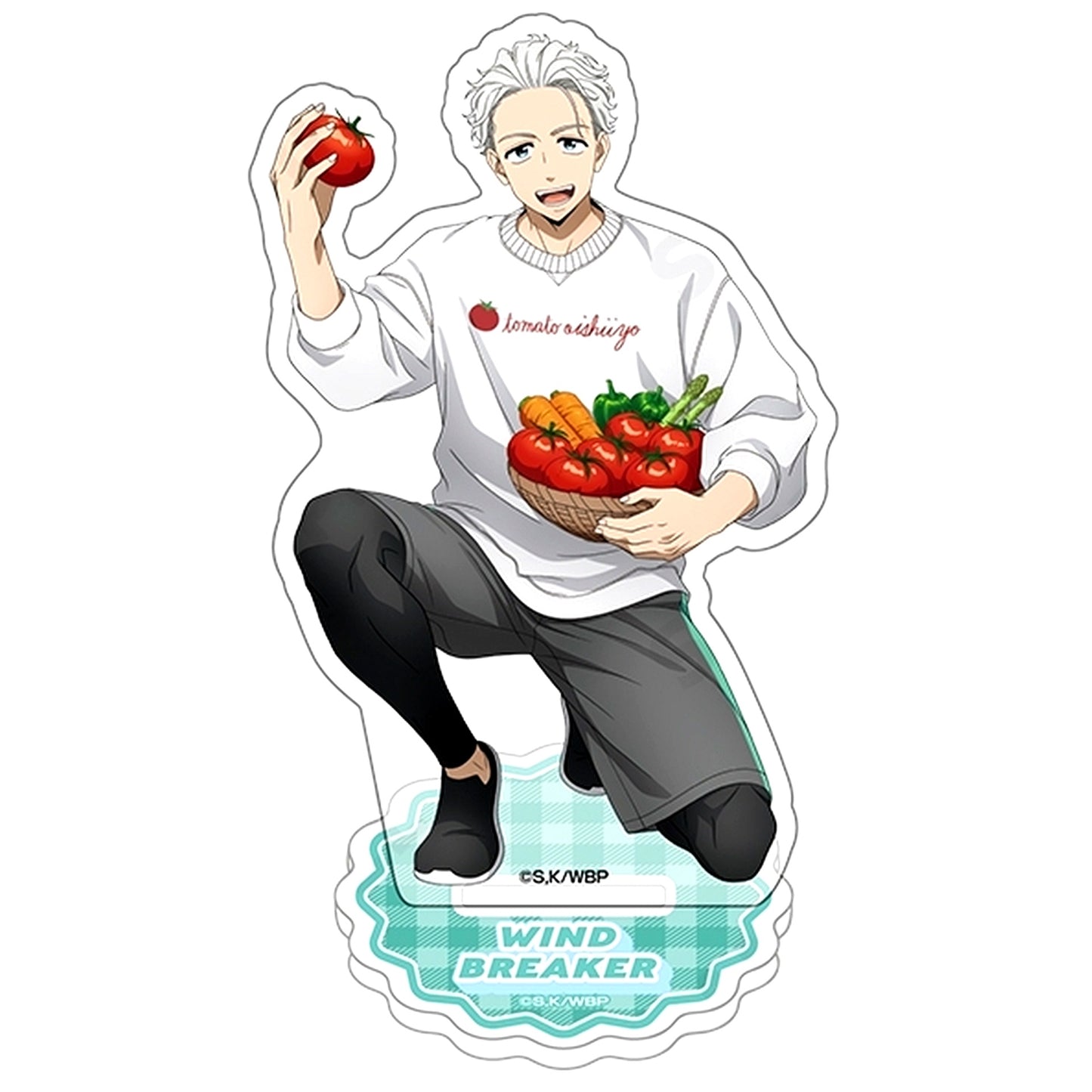 Hajime Umemiya 2 Acrylic Stand WIND BREAKER [USED]