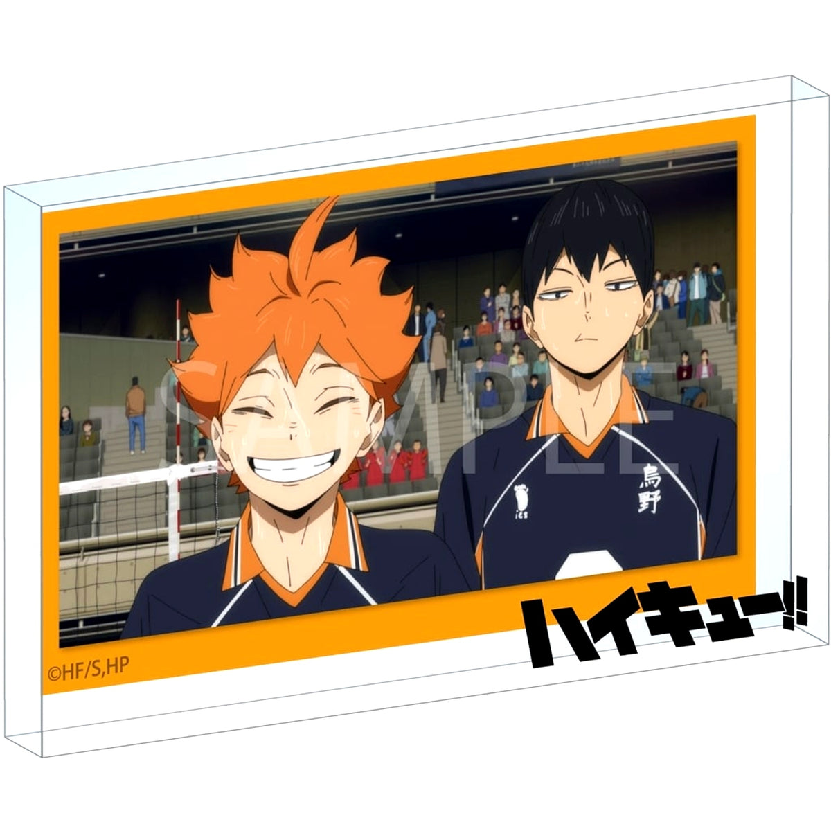 06 Haikyu!! Scene Shot Acrylic Block [USED]