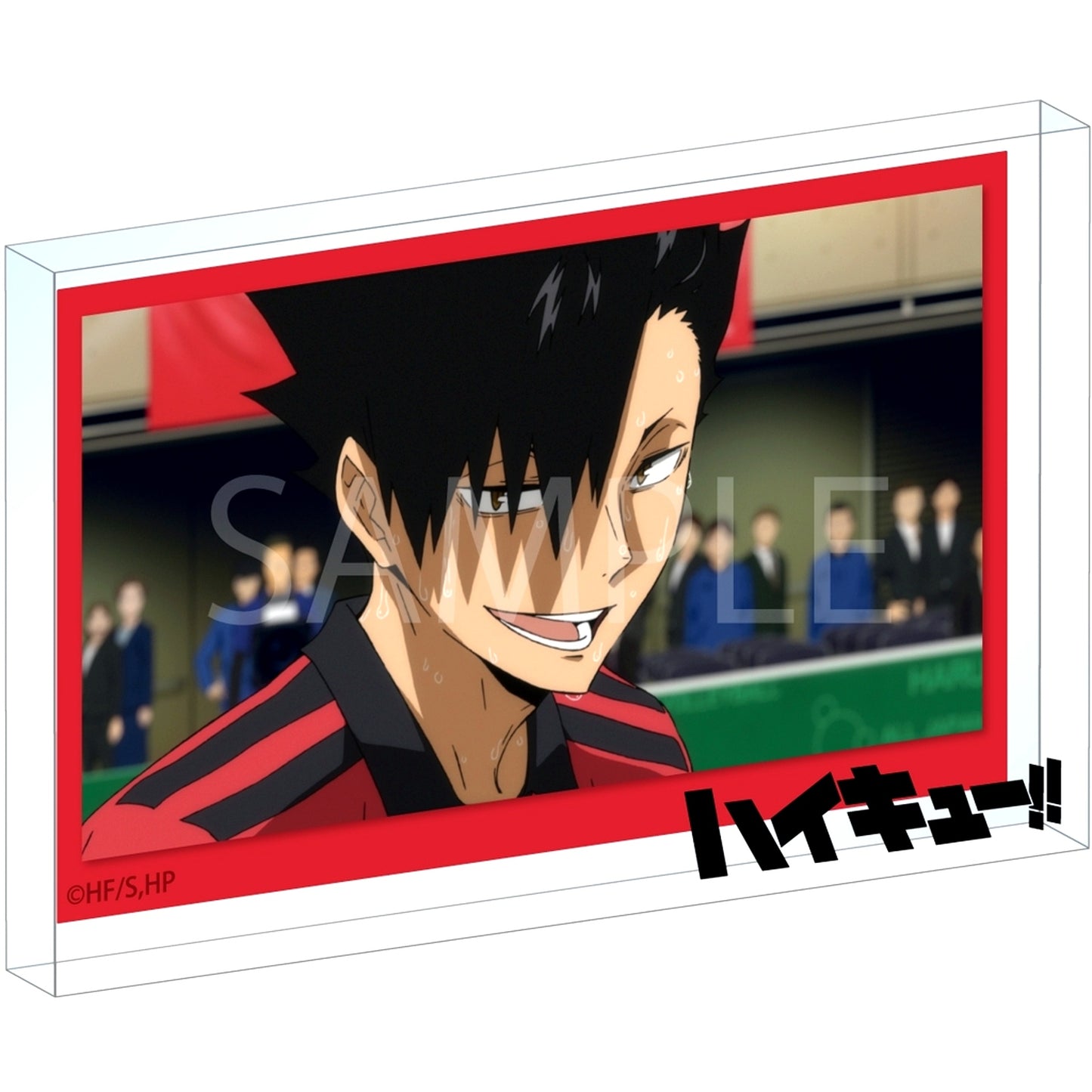 11 Scene Photo Acrylic Block Haikyu!! [USED]