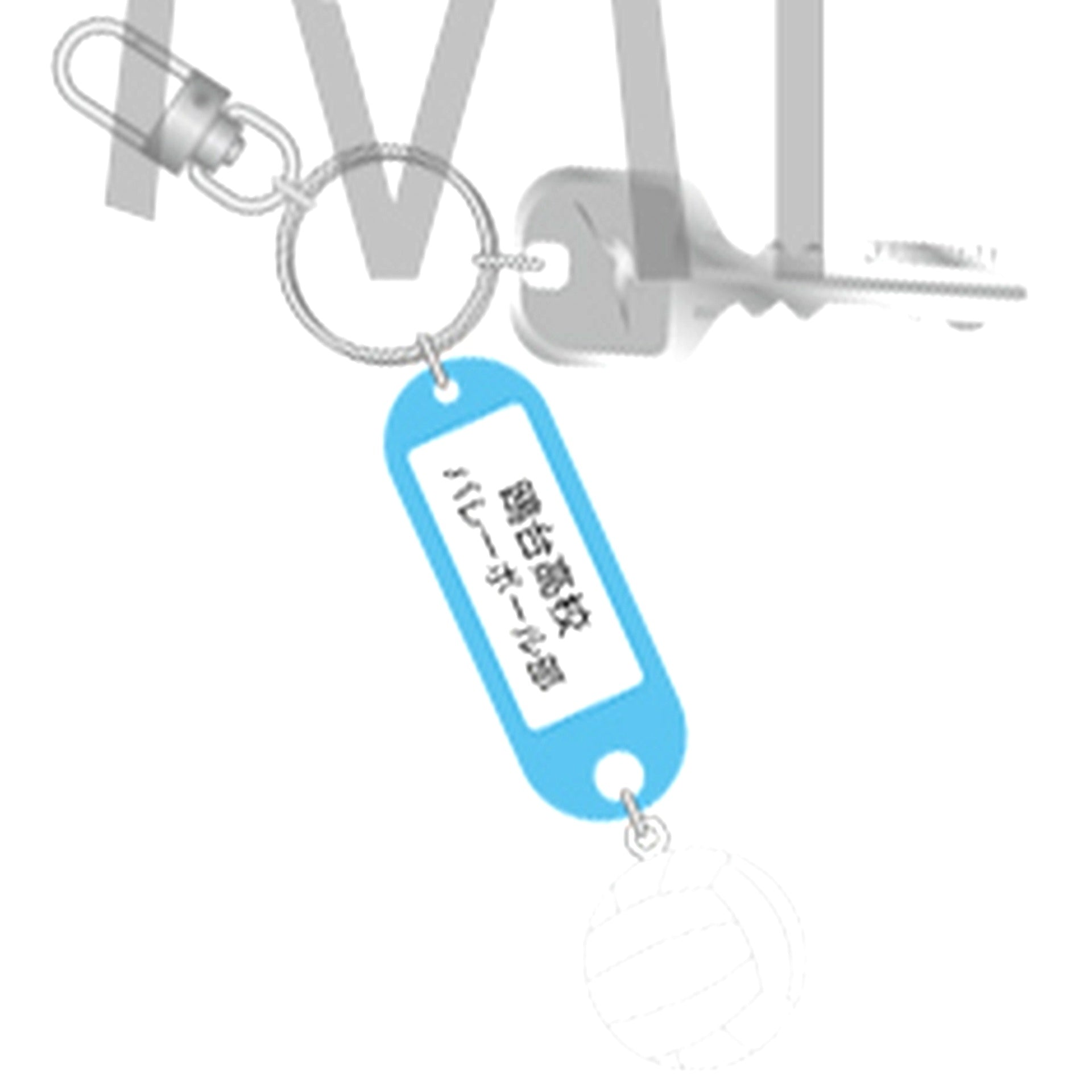 Kamomedai Haikyu!! Trading High School Name Key Charm Keychain 2nd [USED]