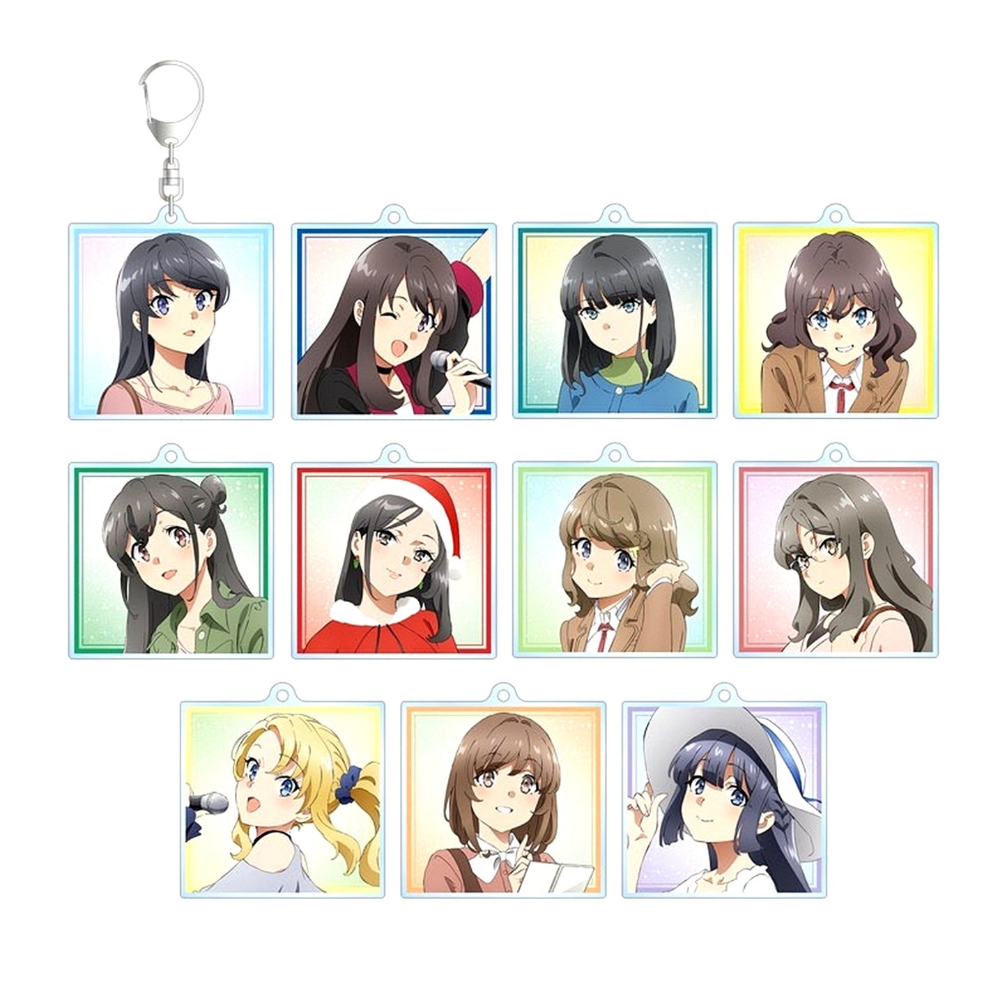Set of 11 Rascal Does Not Dream of Santa Claus Trading Acrylic Keychain [USED]