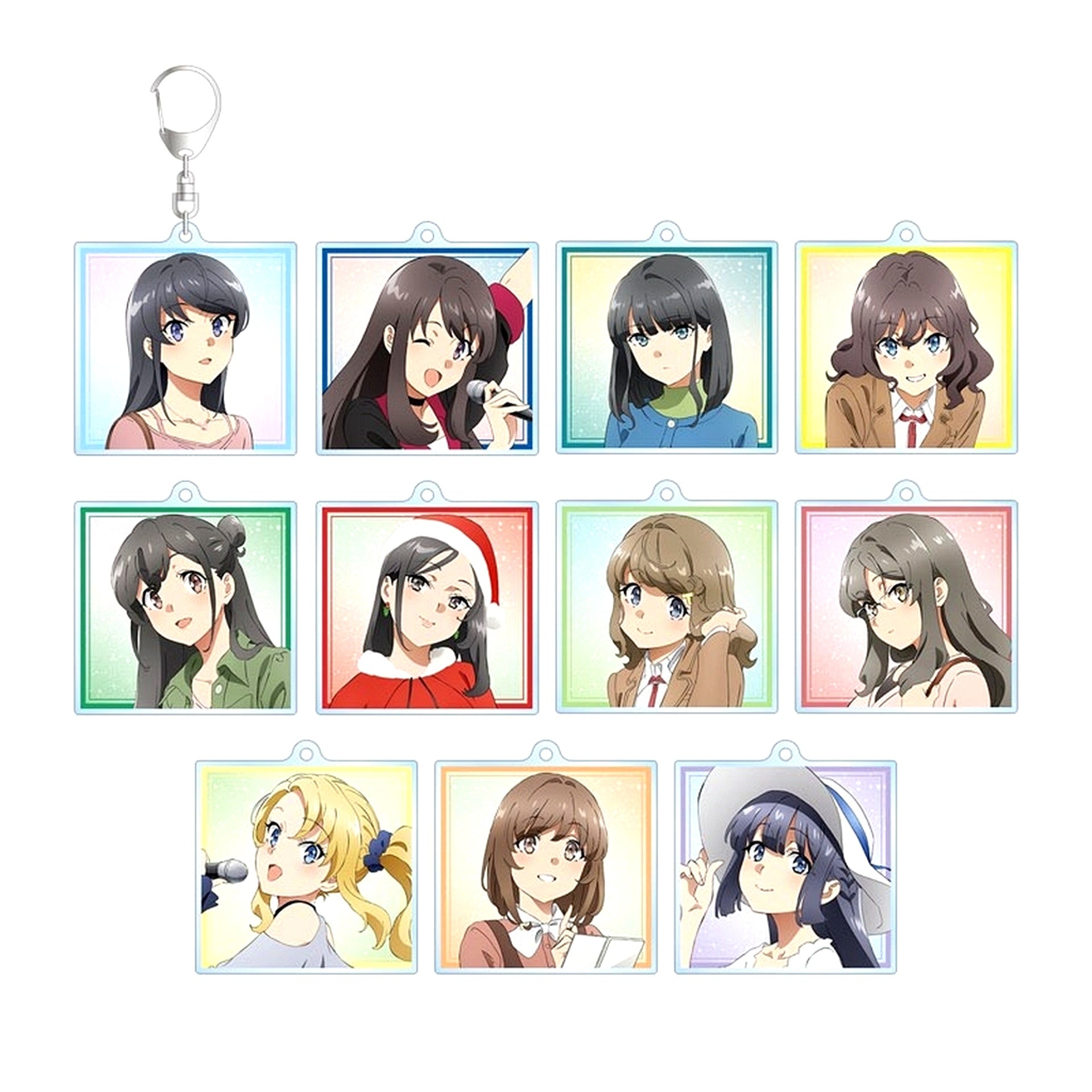 Set of 11 Rascal Does Not Dream of Santa Claus Trading Acrylic Keychain [USED]