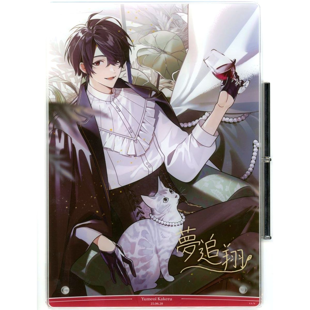 Yumeoi Kakeru Virtual YouTuber Nijisanji B5 Acrylic Panel Foil Stamped Replica Autograph Birthday 2025 Included Item [USED]