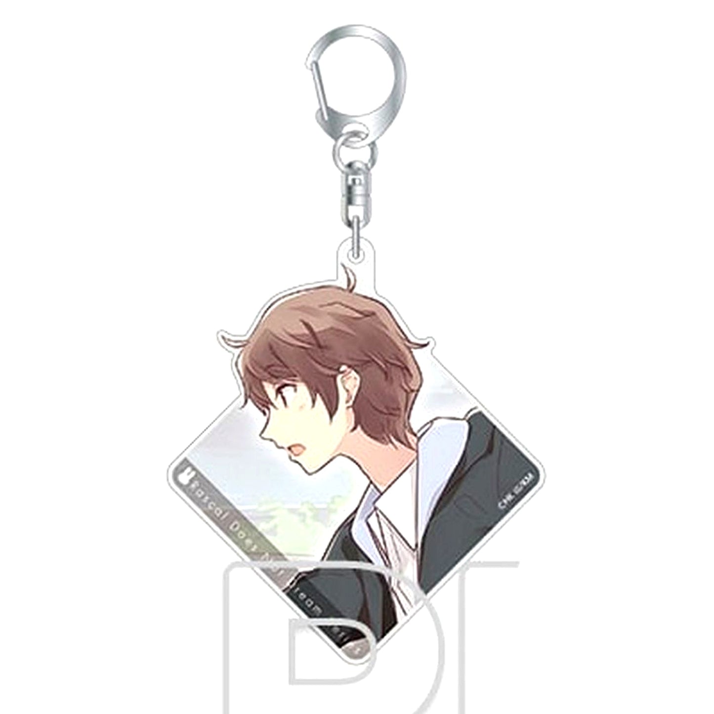 Sakuta Azusagawa Dengeki Bunko Rascal Does Not Dream Series University Student Arc Group Visual Trading Acrylic Keychain [USED]