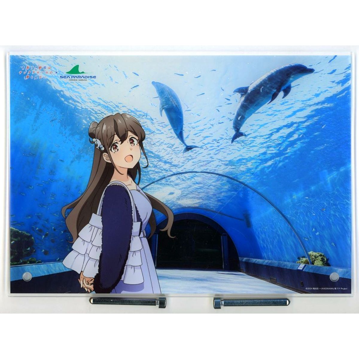 Miori Mito Acrylic Plate Rascal Does Not Dream of Santa Claus x Yokohama Hakkeijima Sea Paradise [USED]