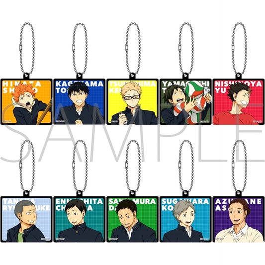 Set of 10 Haikyu!! Acrylic Keychain Collection [USED]