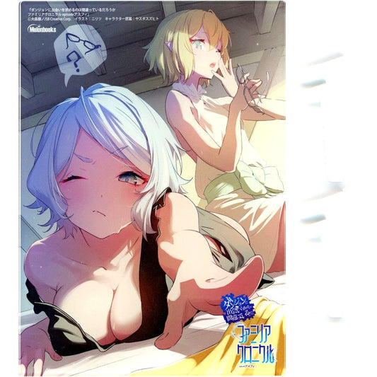 Niritsu Illustration Is It Wrong to Try to Pick Up Girls in a Dungeon? Familia Chronicle Episode Asfi Light Novel Melonbooks Limited Edition Mini Acrylic Panel Bonus Item [USED]