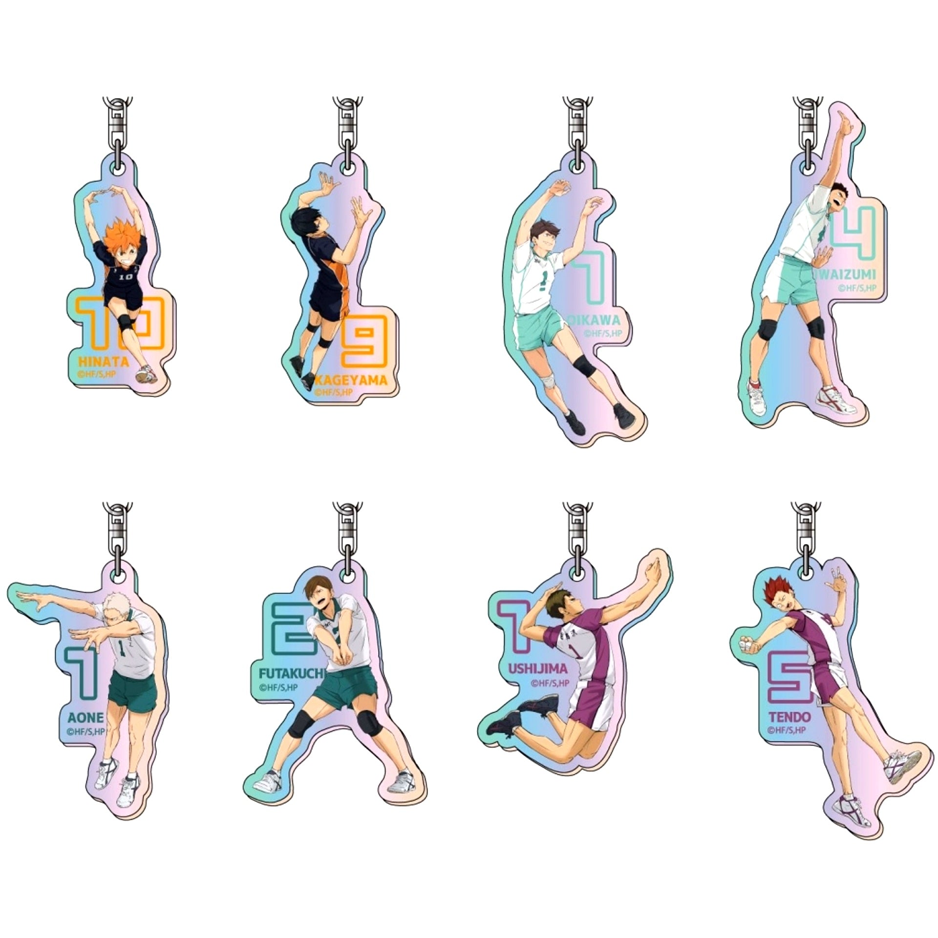 Set of 8 Haikyu!! Aurora Acrylic Keychain Vol. 1 [USED]