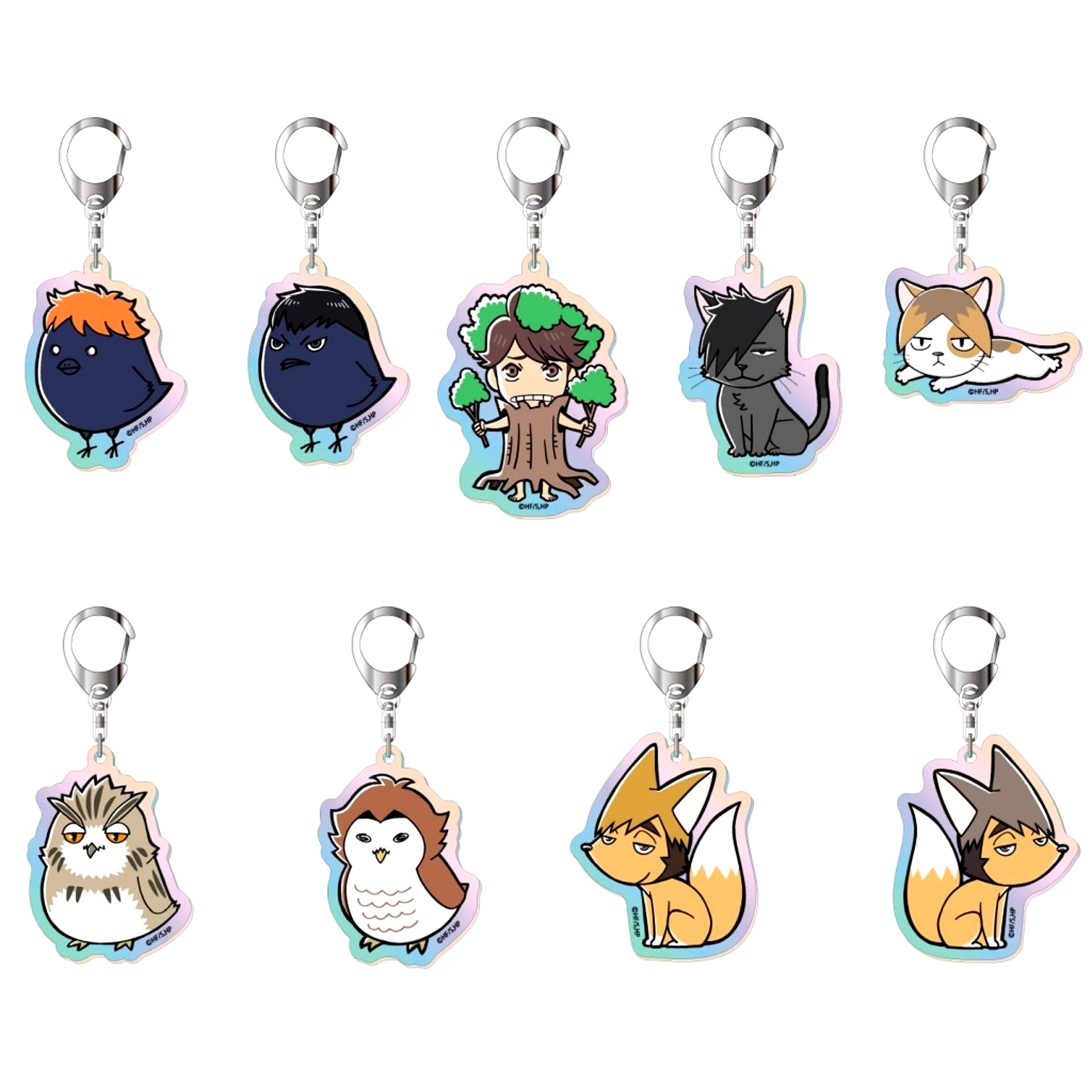 Set of 9 Haikyu!! Aurora Acrylic Keychain Vol. 3 [USED]