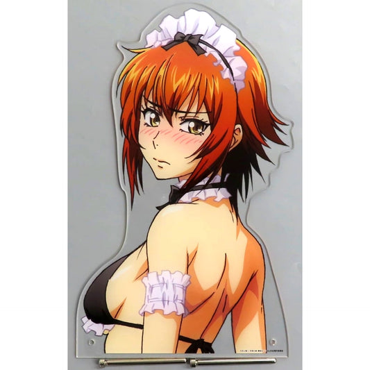 Chisa Kotegawa S-1 Prize Bust Up Acrylic Stand FAM Kuji Grand Blue Dreaming Season 2 [USED]