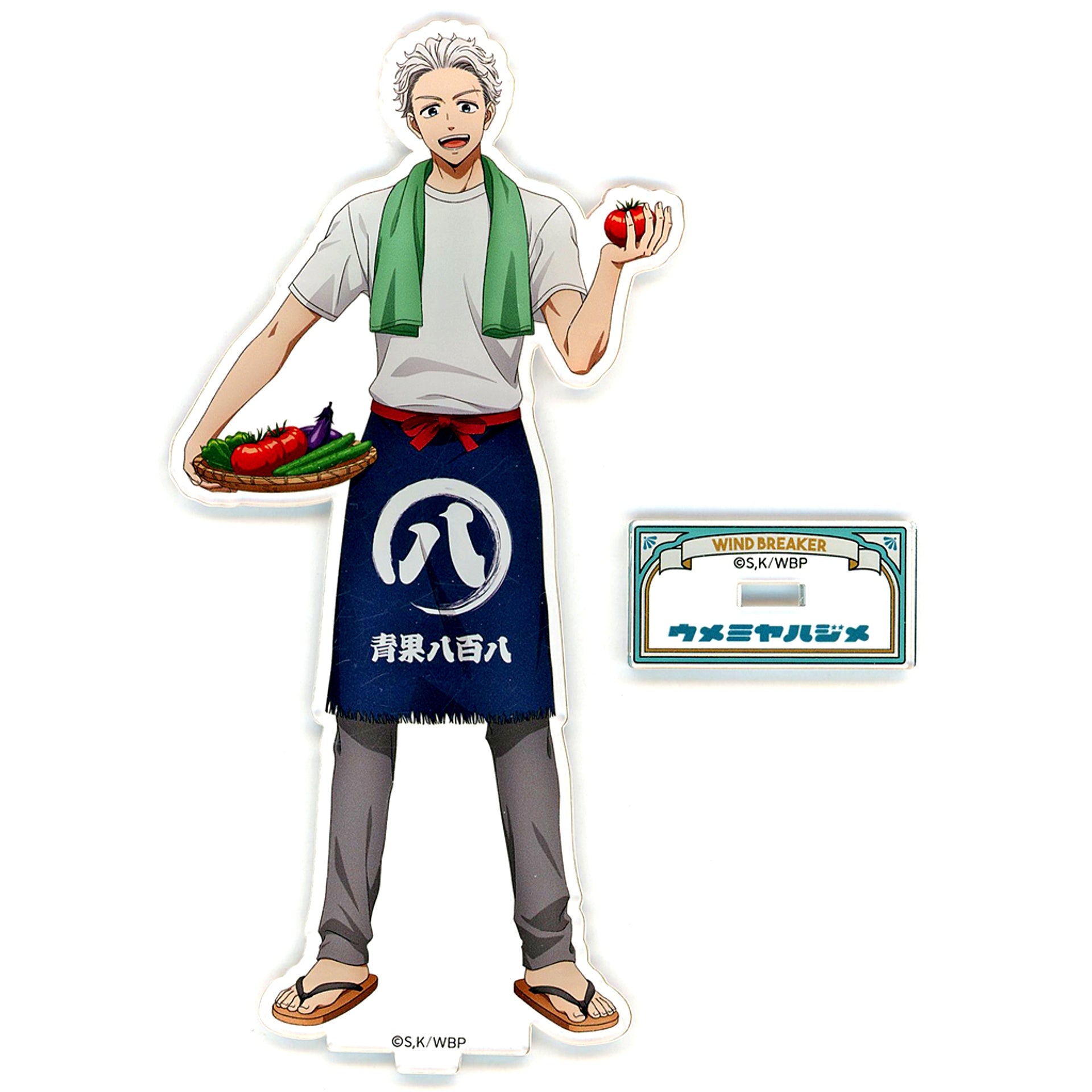 Hajime Umemiya WIND BREAKER Collaboration Event Seibuen Amusement Park Illustration Acrylic Stand [USED]
