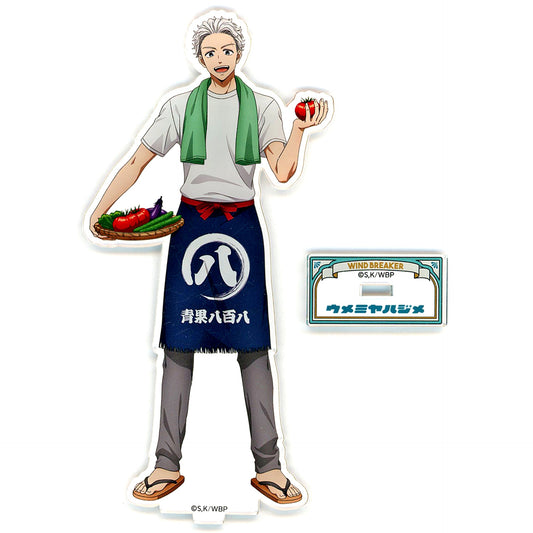 Hajime Umemiya WIND BREAKER Collaboration Event Seibuen Amusement Park Illustration Acrylic Stand [USED]