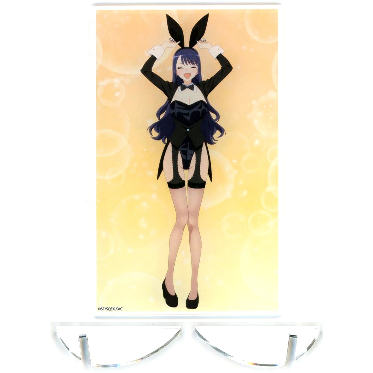 Marin Kitagawa Arisa Izayoi Holding Ears C. Acrylic Panel Vol.4 My Dress-Up Darling Season 2 C107 Goods [USED]