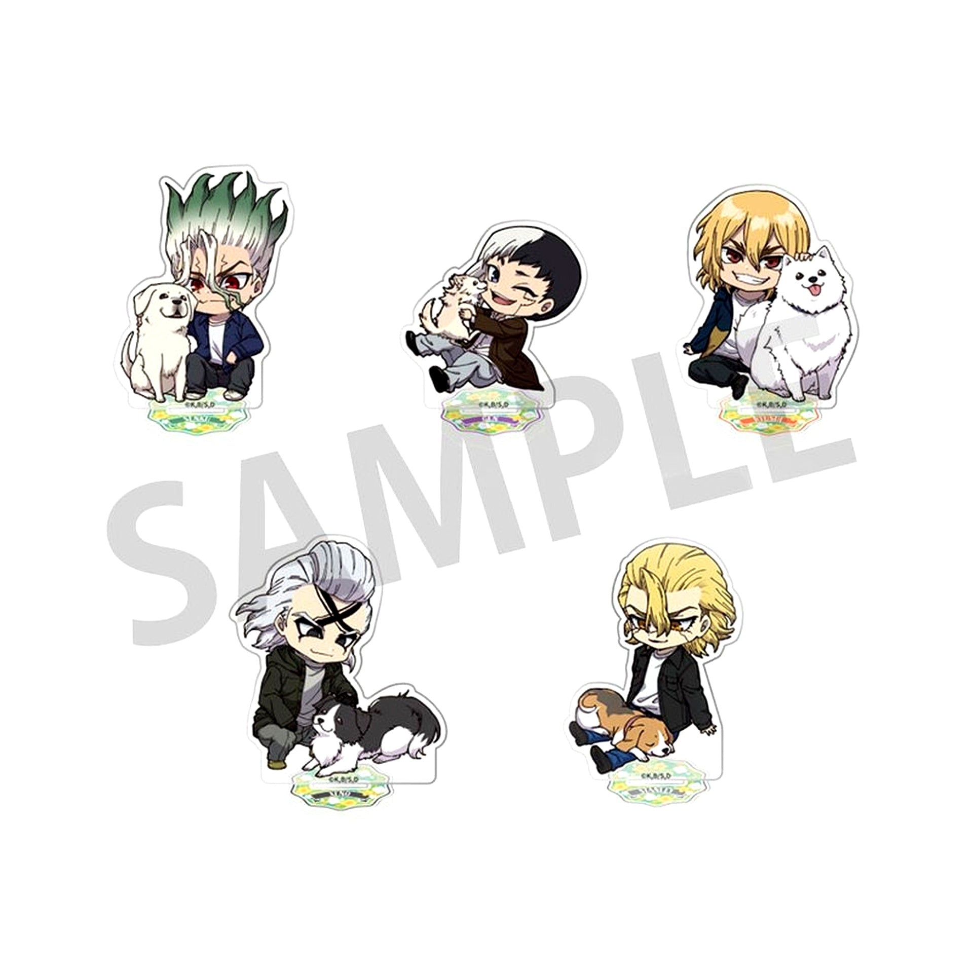 Set of 5 Dr. STONE with Dogs Mini Ver. Trading Acrylic Stand [USED]