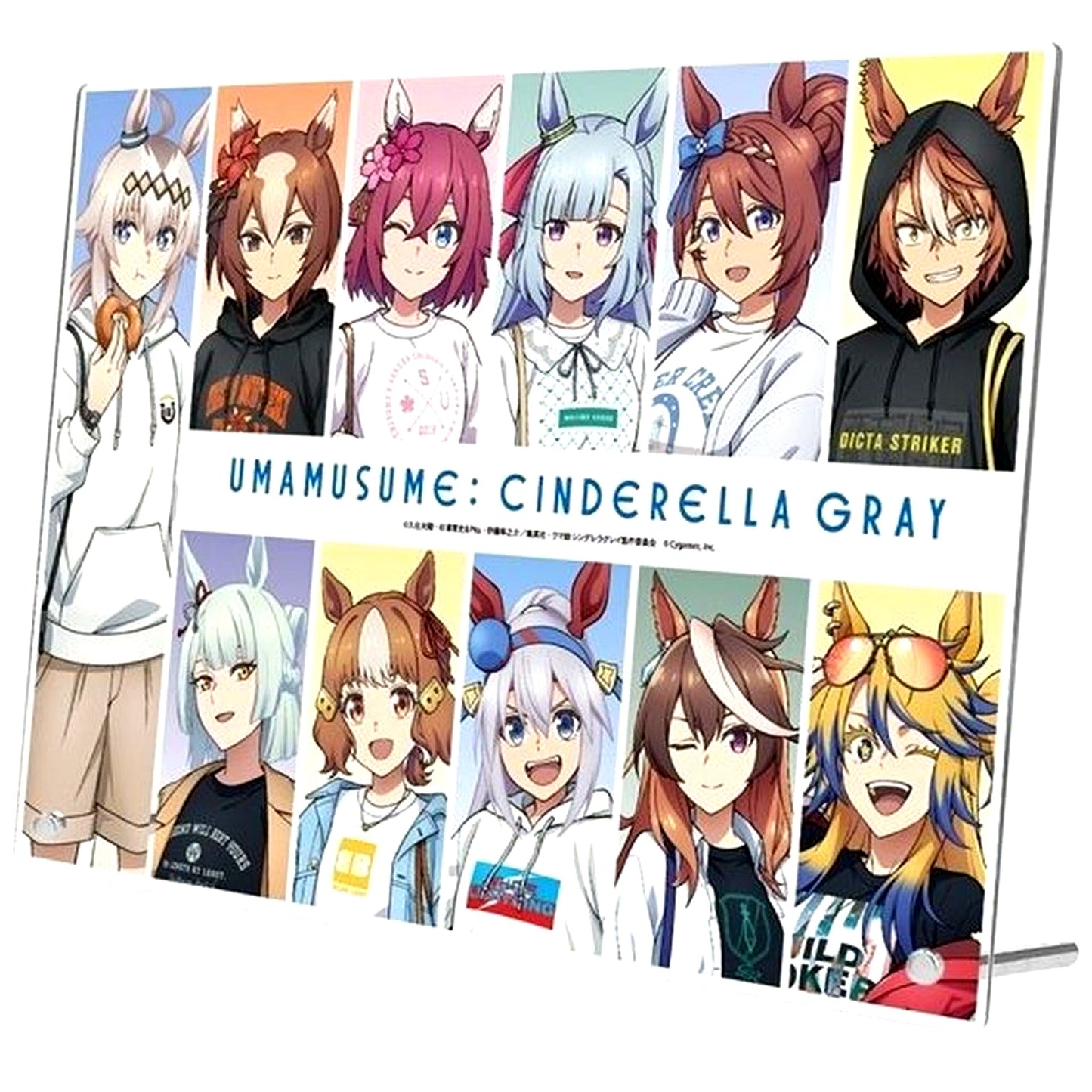 Group A4 Acrylic Panel Anime Uma Musume Cinderella Gray POP UP SHOP in Marui [USED]