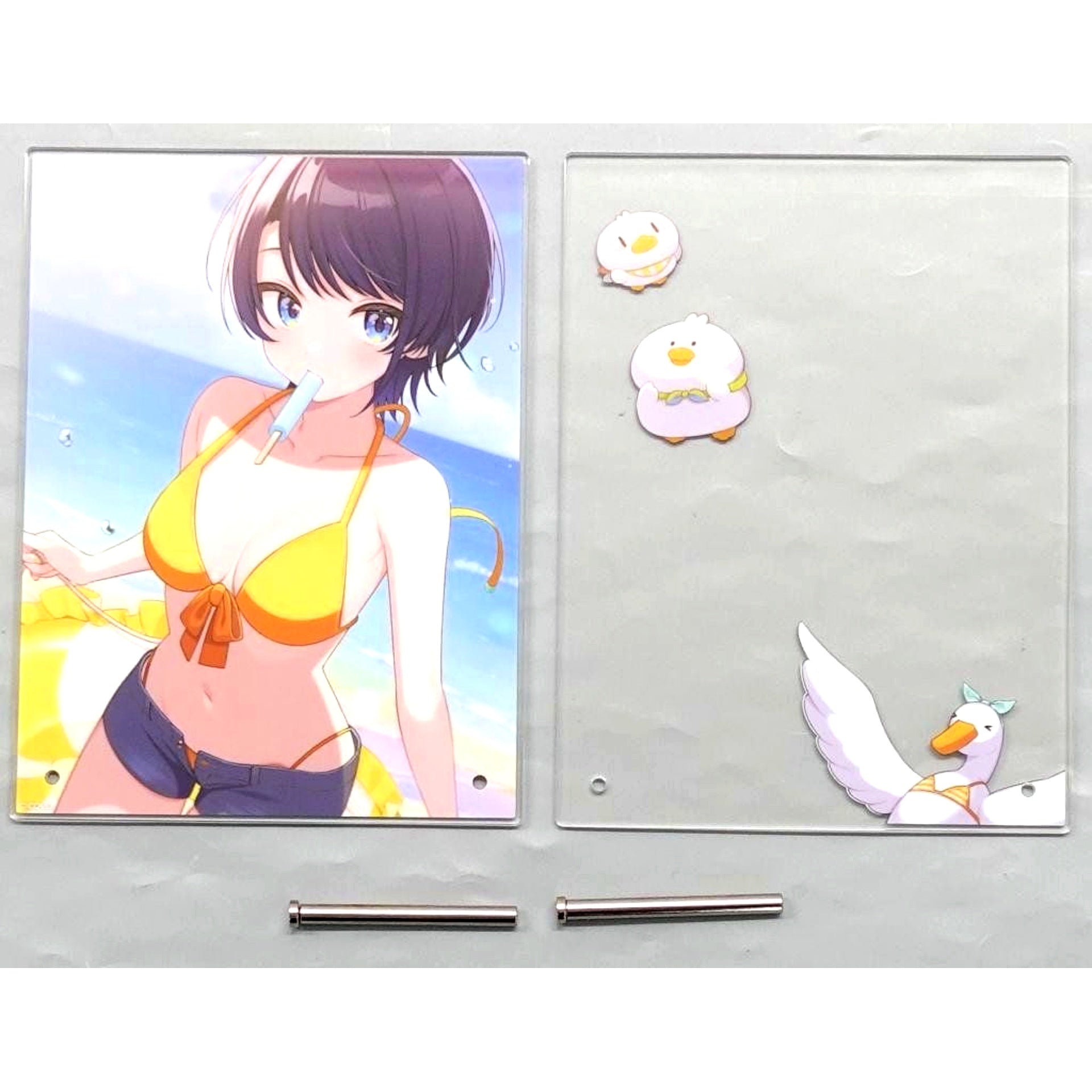 Oozora Subaru Virtual YouTuber Hololive Birthday Celebration 2025 2-Layer Acrylic Panel [USED]