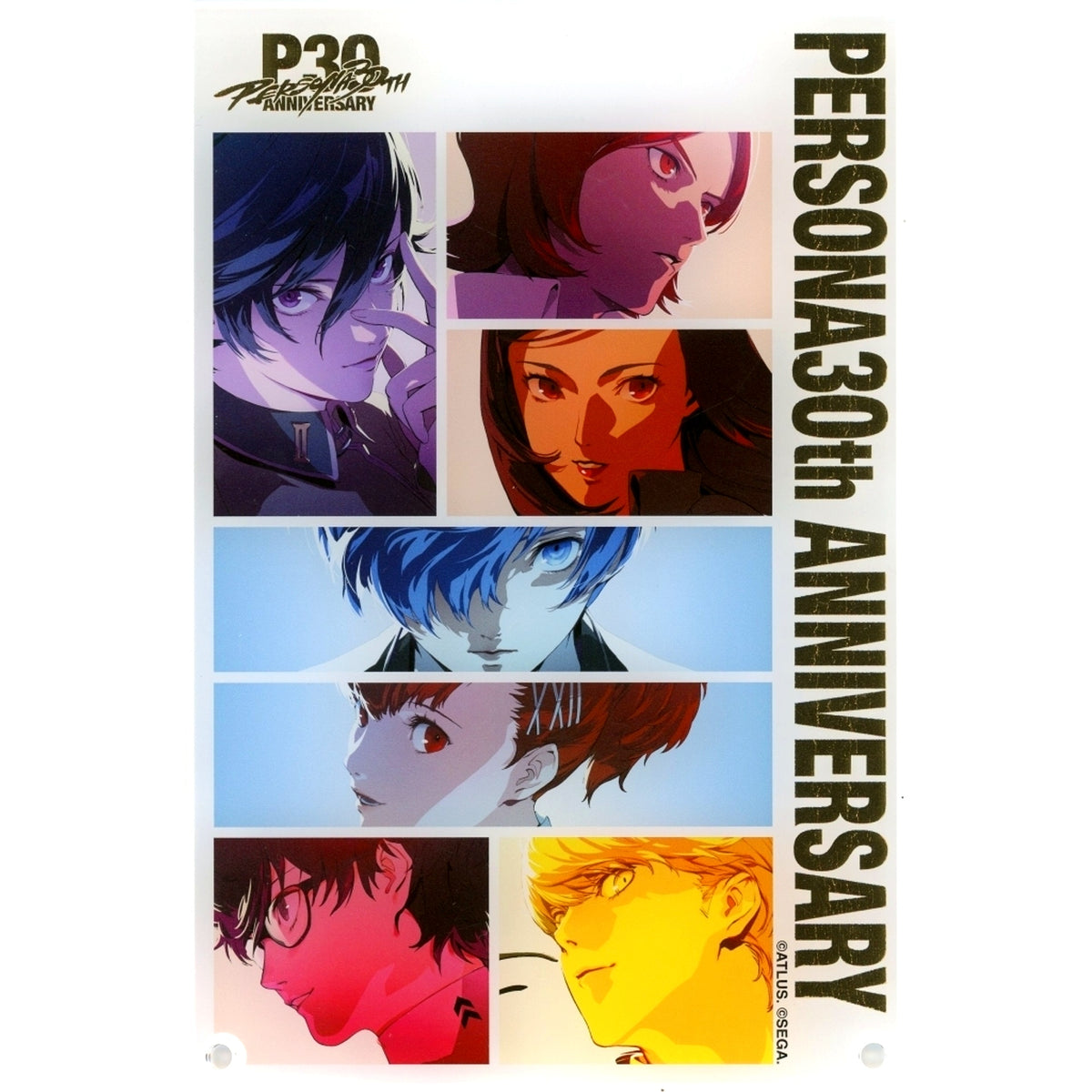 Group Persona Series P30th Foil Stamped Acrylic Stand Panel [USED]