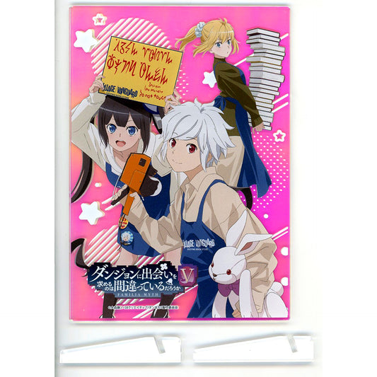 Bell Cranel & Hestia & Ryuu Lion Is It Wrong to Try to Pick Up Girls in a Dungeon? V Aurora Acrylic Panel x Village Vanguard [USED]