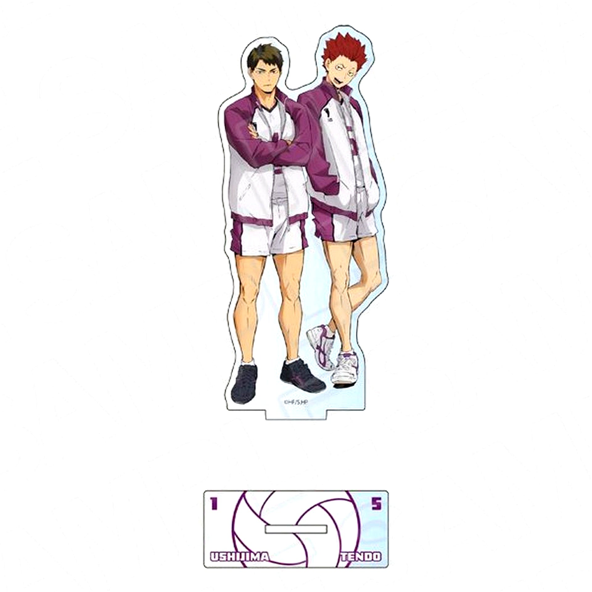 Wakatoshi Ushijima & Satori Tendo Aurora Acrylic Figure Anime Haikyu!! [USED]
