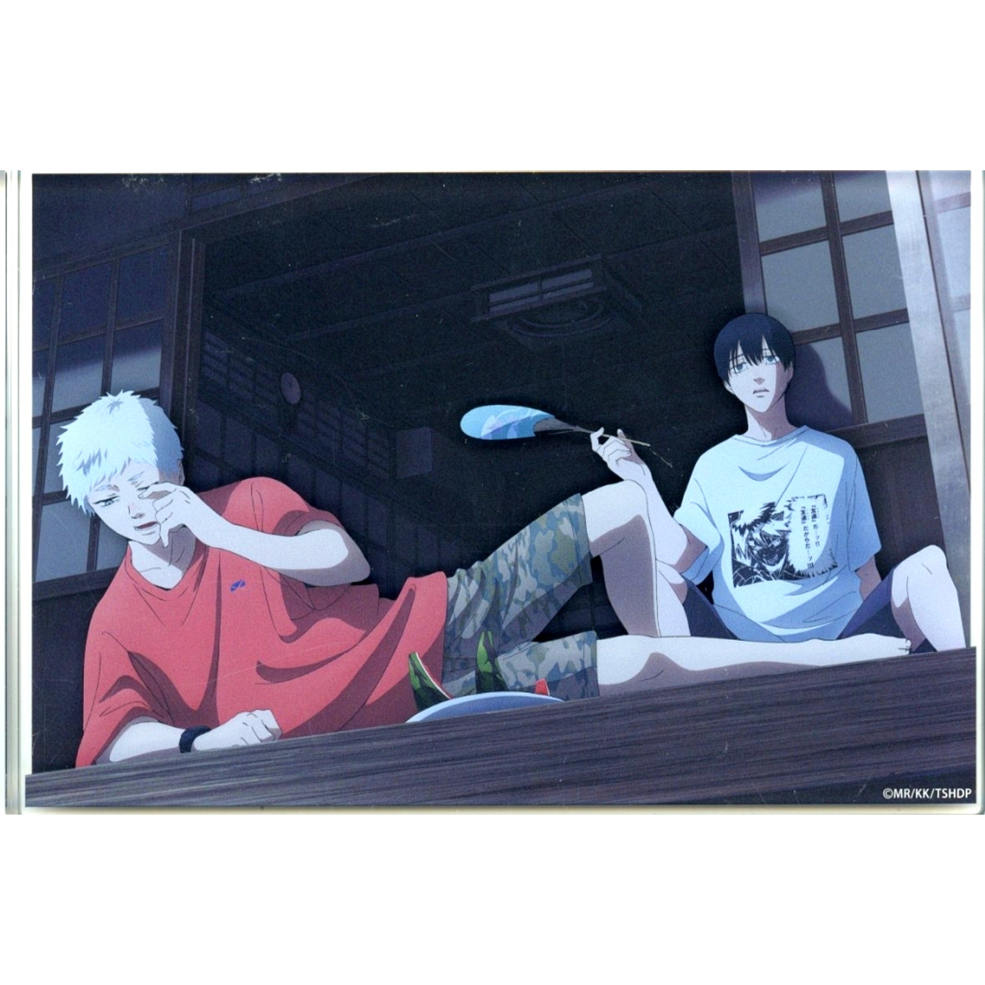 Hikaru and Yoshiki Tsujinaka Acrylic Block The Summer Hikaru Died PASH September 2025 Issue All Applicant Service [USED]